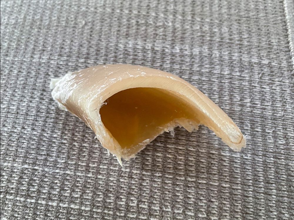 犬の長持ちおやつ『ひづめ』は危険がいっぱいなので注意！