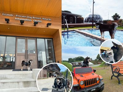 【茨城・千葉旅行】グランデ プライベート  ドッグリゾート常陸に行って来たよ！
