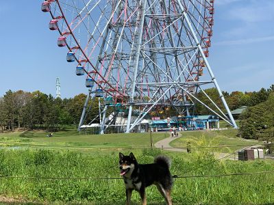 【東京都江戸川区】東京都立葛西臨海公園