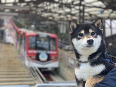 【東京都奥多摩】御岳山登山鉄道（ケーブルカー）と武蔵御嶽神社