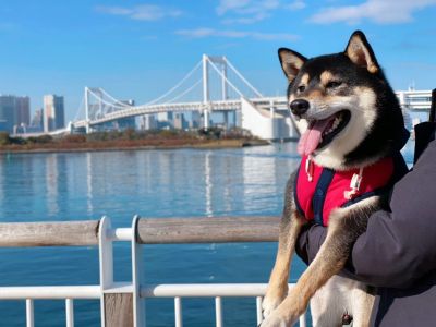 【東京都台場】お台場海浜公園からレインボーブリッジとフジテレビ