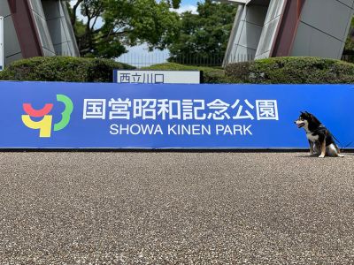【東京都立川市】国営昭和記念公園を散歩♪あまりにも広すぎます！