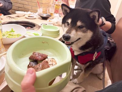 抗がん剤前に、大好きな「うしすけ」さんでお肉祭り！