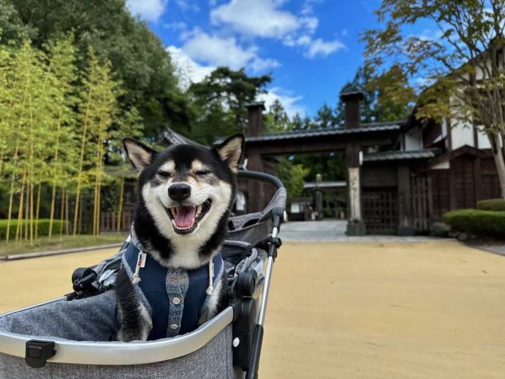 EDO WONDERLAND 日光江戸村
