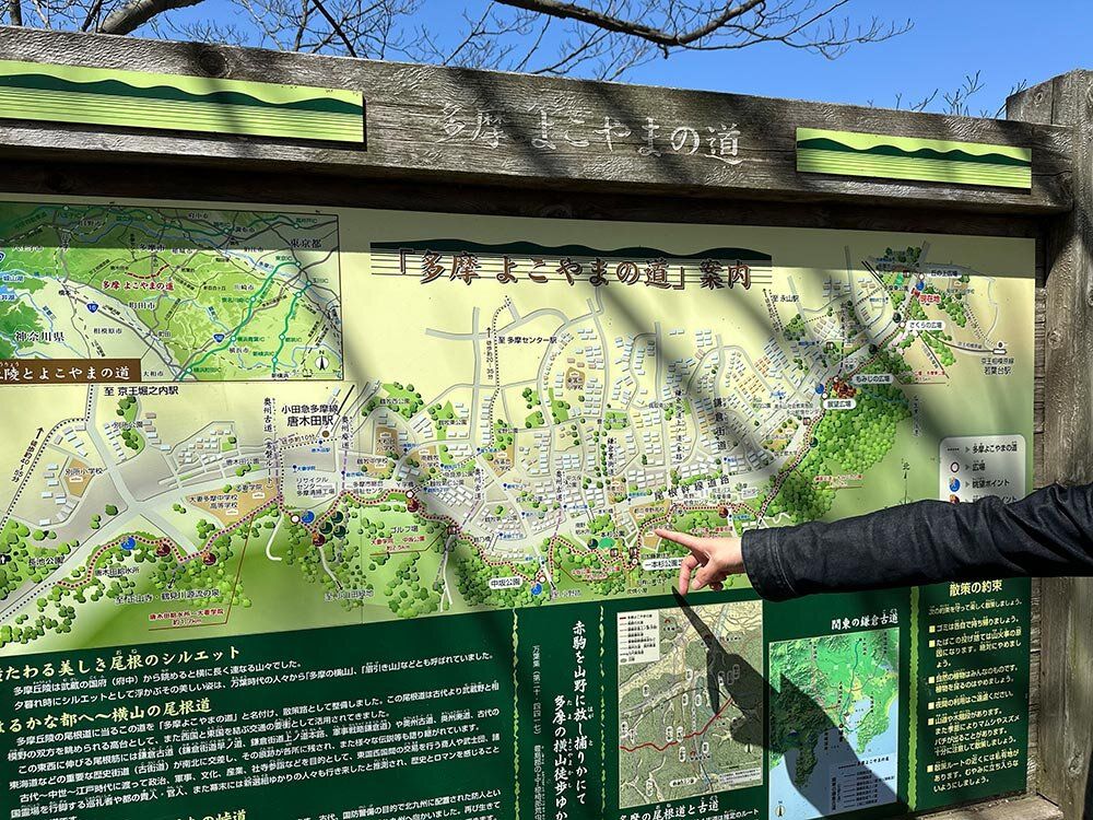 よこやまの道