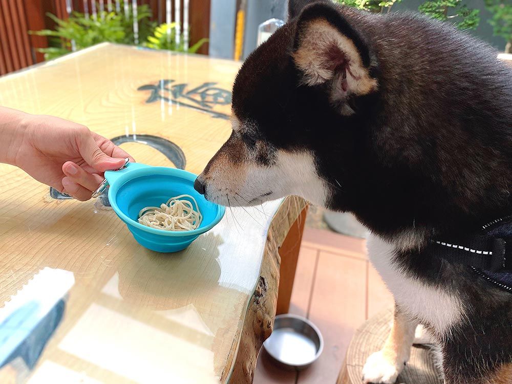 手打ちそば蕎藤