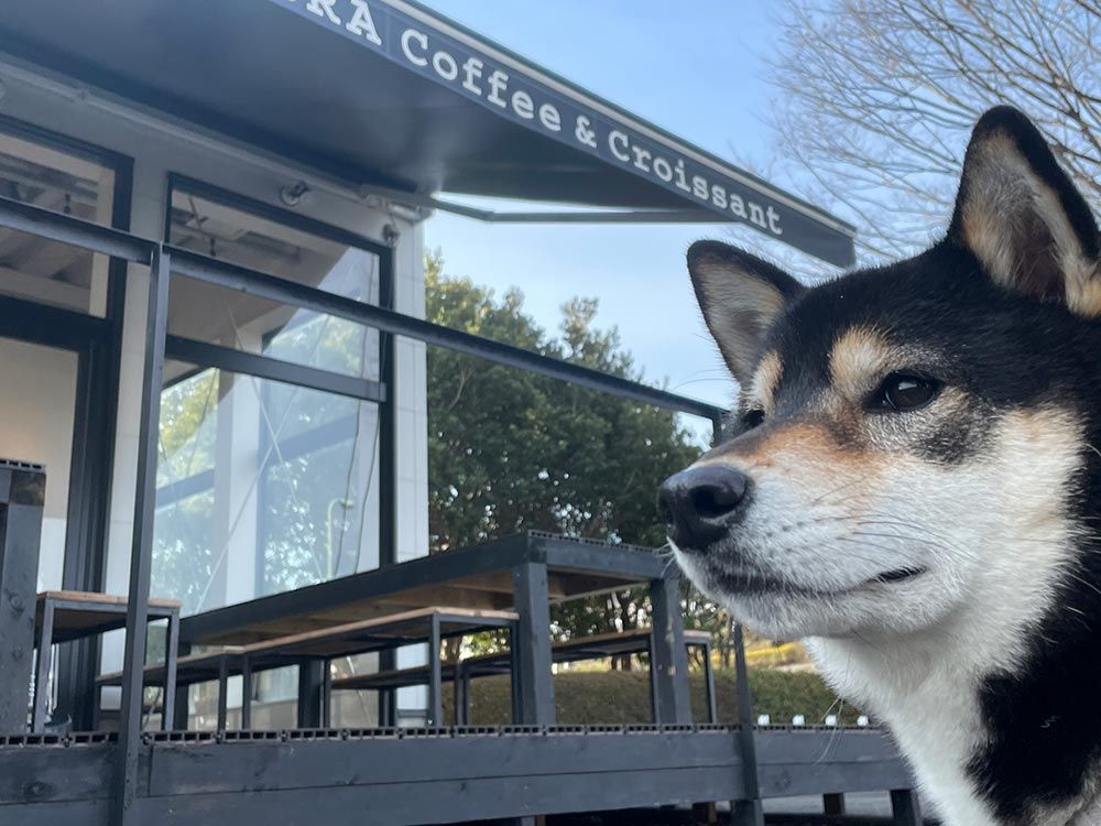 稲城中央公園