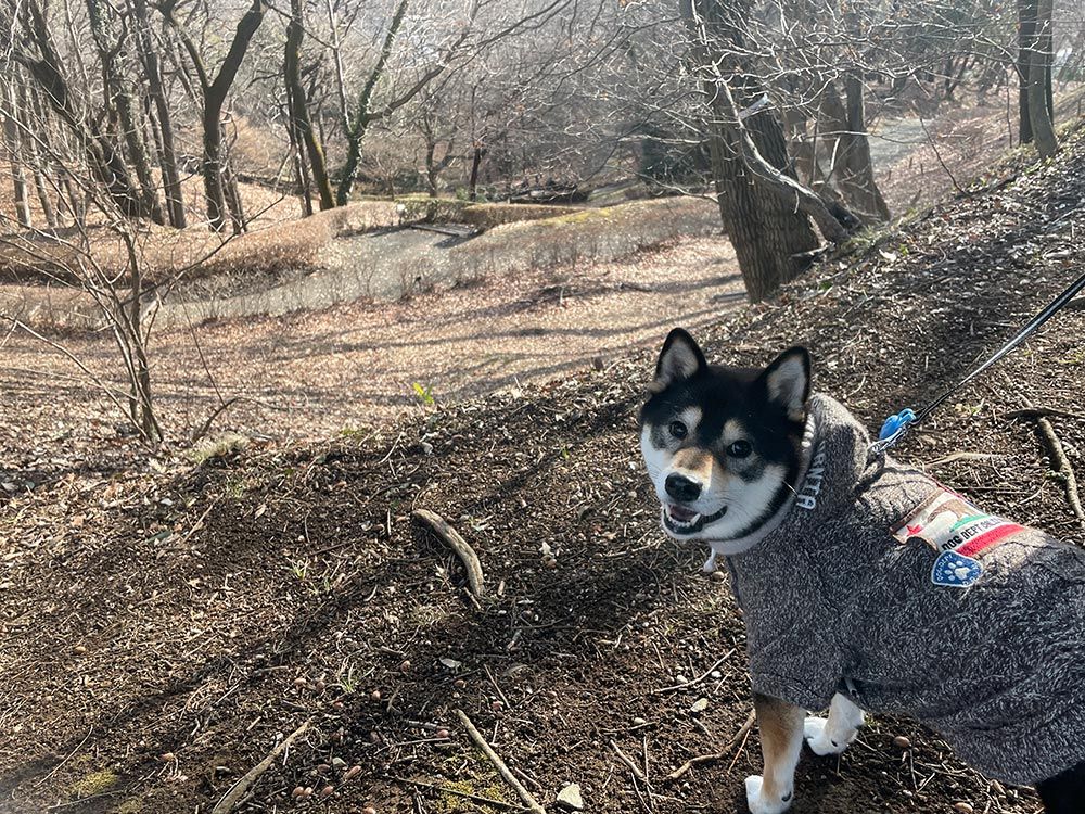 稲城中央公園