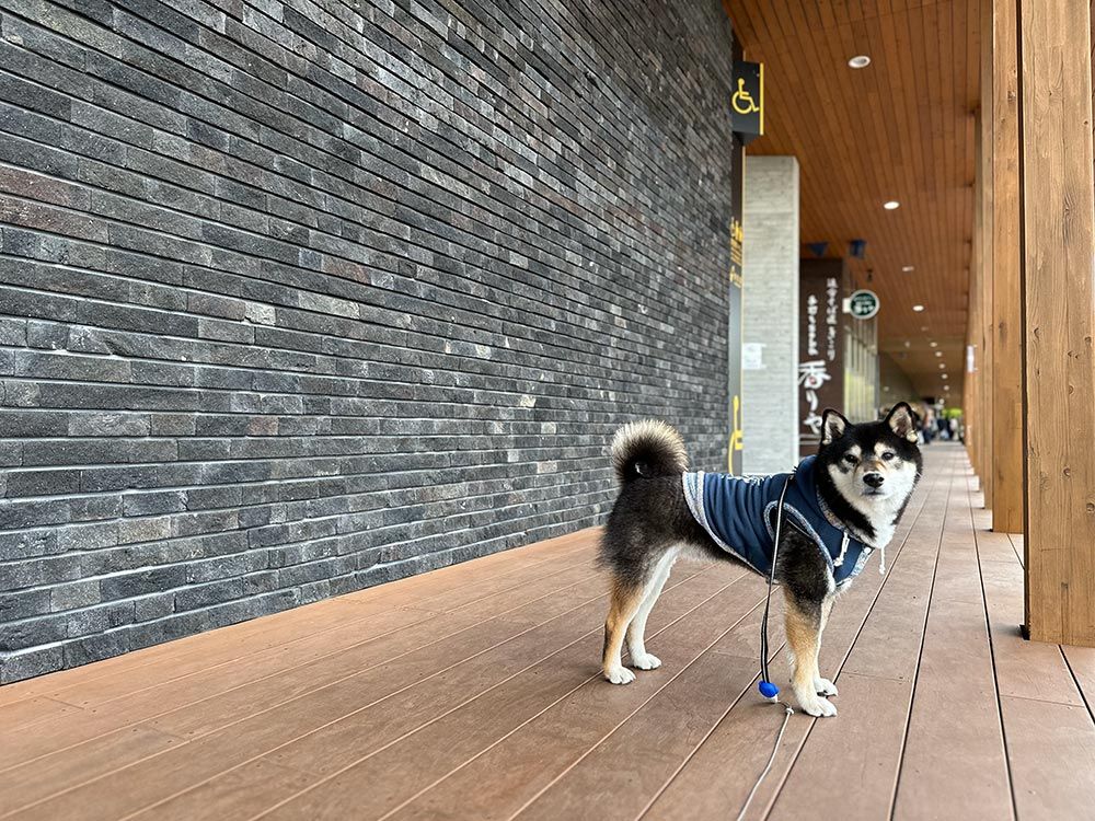 軽井沢・プリンスショッピングプラザ