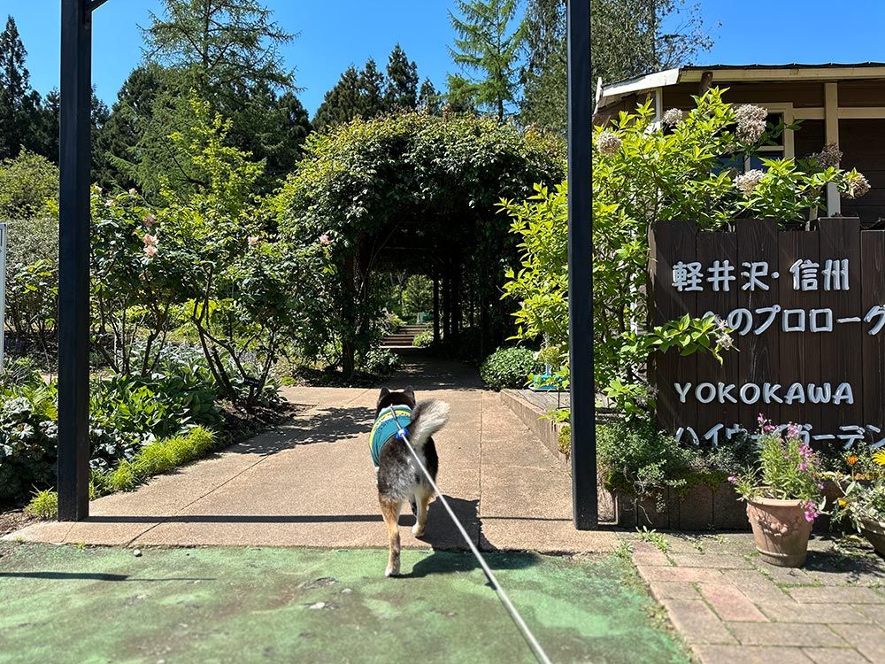 横川サービスエリア 下り
