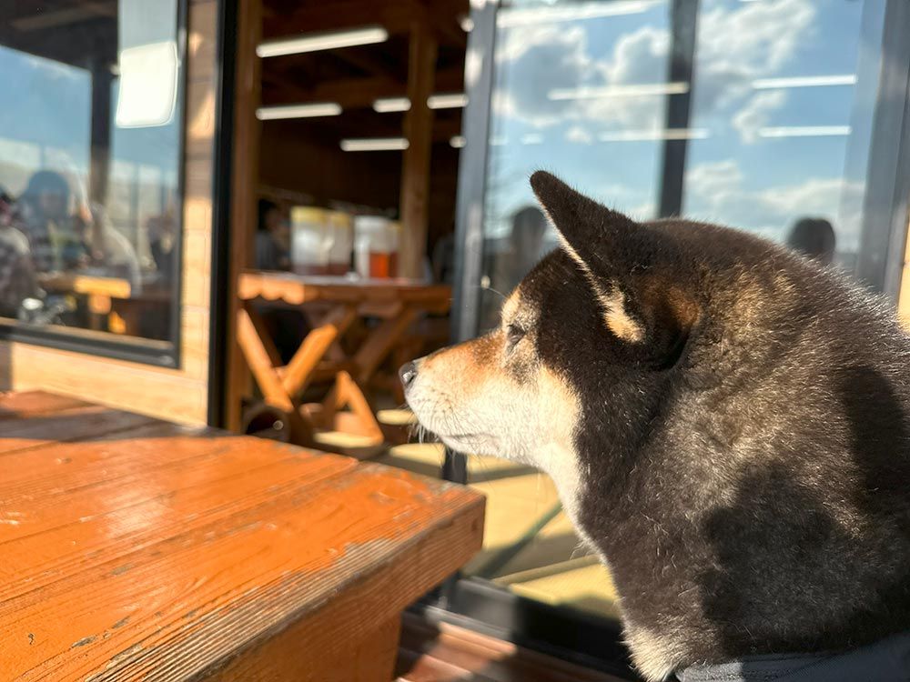 手打ちそば・和食　やまびこ