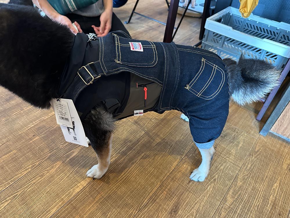 愛犬の駅 伊豆高原