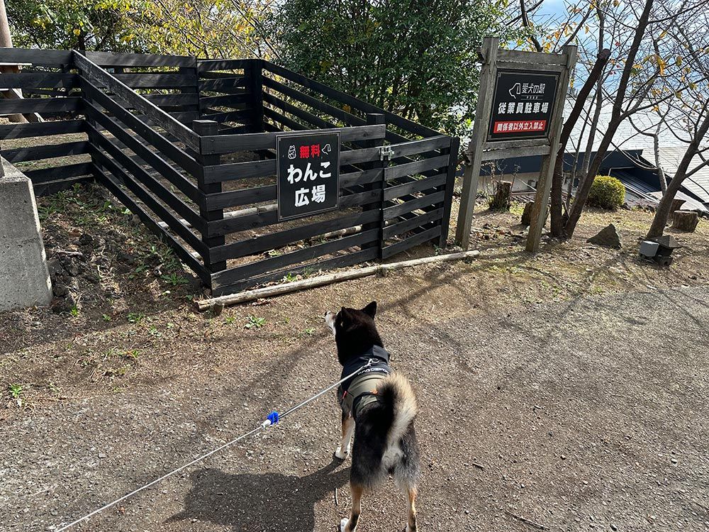 愛犬の駅 伊豆高原