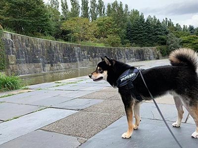 前田森林公園