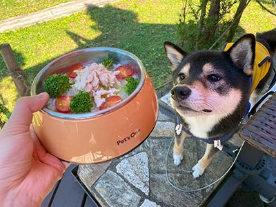 飲食店