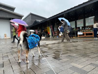 SA・PA/道の駅
