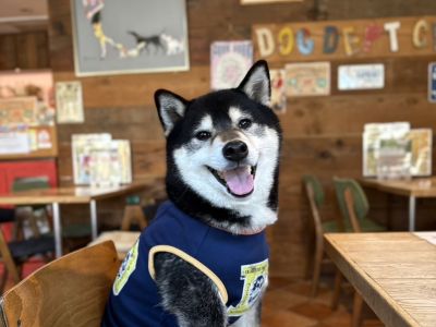 DOG DEPT お台場東京ビーチ店（カフェ＆レストラン）