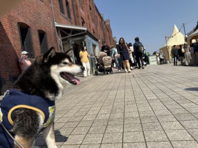 横浜赤レンガ倉庫
