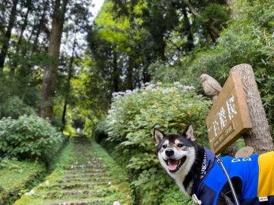 恩賜箱根公園