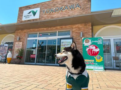 横川サービスエリア 下り