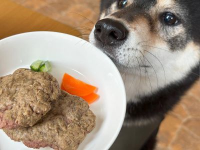 和食だワン