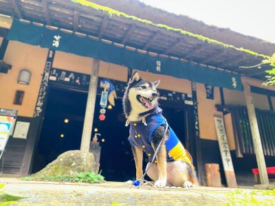 箱根　甘酒茶屋