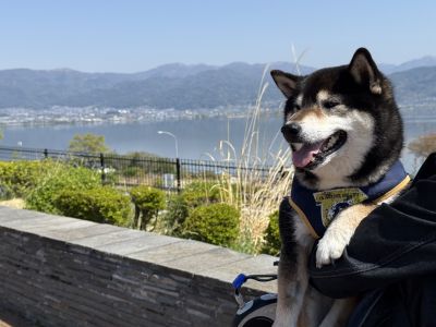 諏訪湖サービスエリア 下り