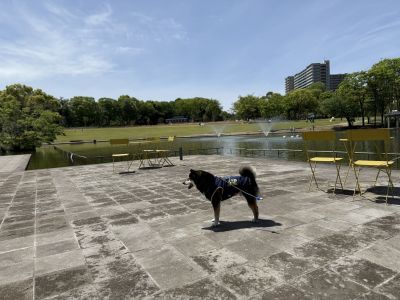 多摩中央公園｜TAMA CENTRAL PARK