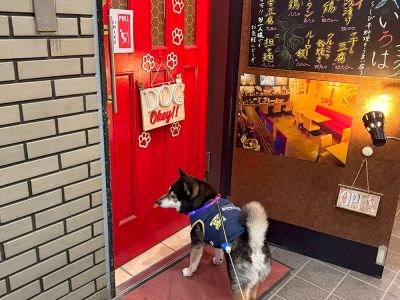 中華ダイニング いろは