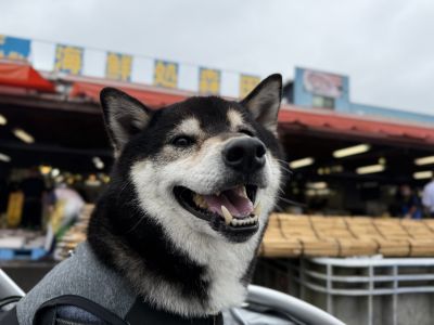 那珂湊おさかな市場