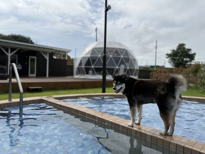 Grande Private Dog Resort 常陸