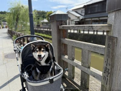 香取市佐原
