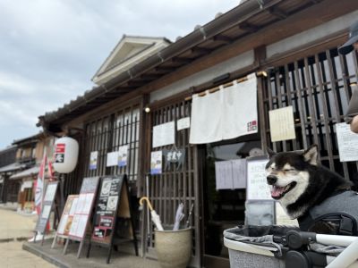 Noodles Labo 香蕎庵