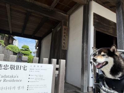 伊能忠敬旧宅