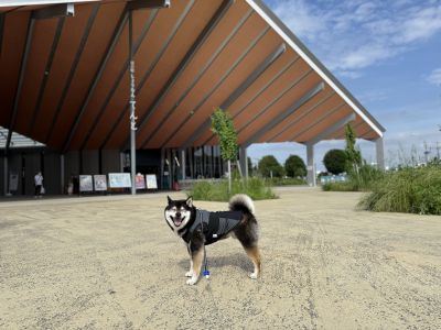 道の駅 しょうなん