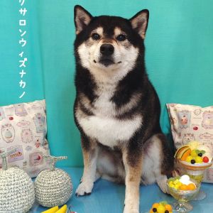 琥大朗ギャラリー サロンフォト