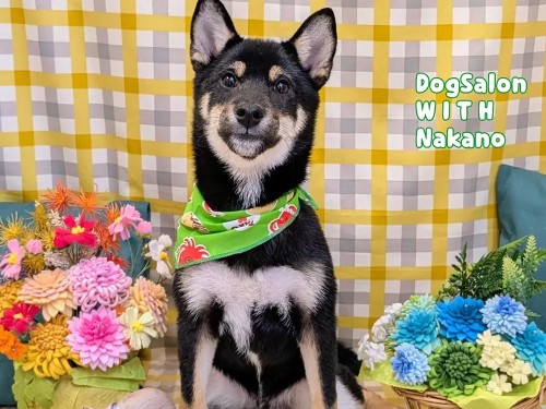 はじめてのサロン♪