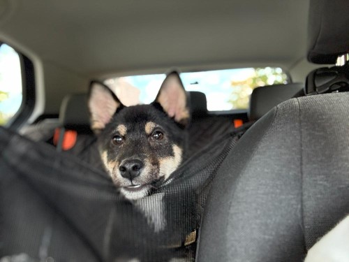 初旅行!茨城へ行ってきました。(1日目)