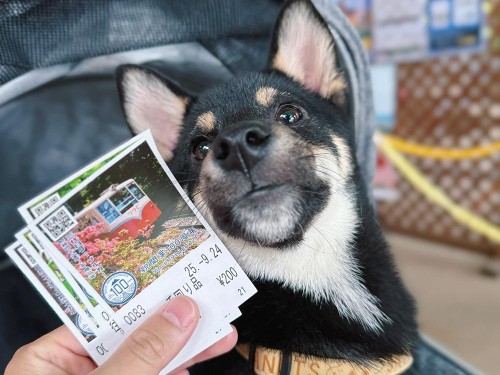 茨城観光は筑波山にケーブルカーでのぼったよ(2日目)